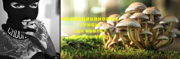 прущая мука Заволжье