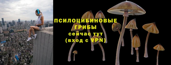 дурь Заволжск