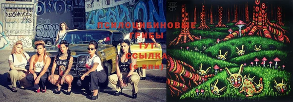 дурь Заволжск