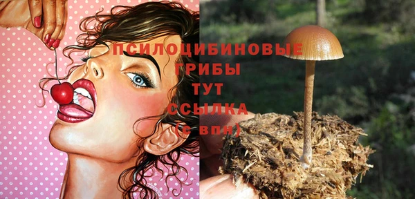 прущий лед Заводоуковск