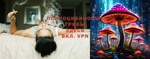 дурь Заволжск