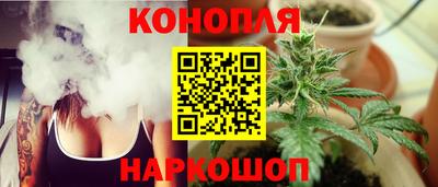 стаф Кинель