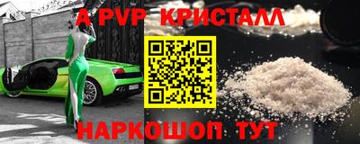 стаф Кинель