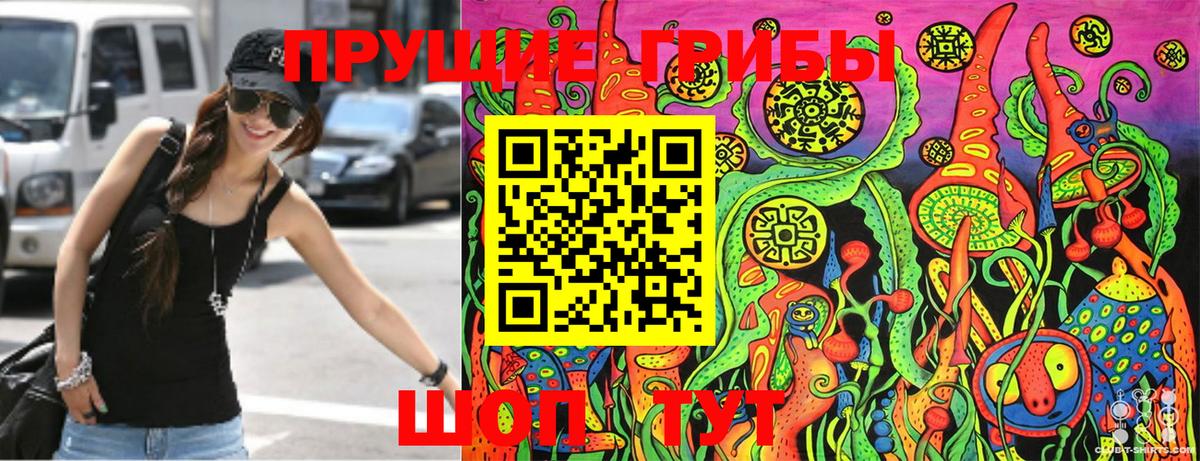 Псилоцибиновые грибы мухоморы Оренбург