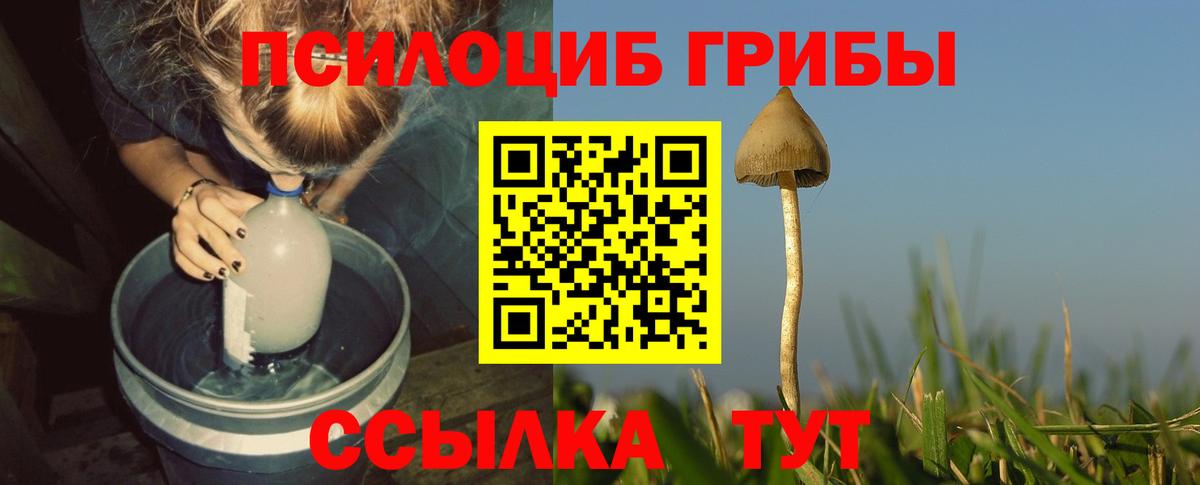 Галлюциногенные грибы ЛСД  Вход с VPN  Оренбург 
